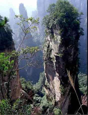 長(zhǎng)沙出發(fā)到張家界溶洞奇觀黃龍洞、國(guó)家森林公園、袁家界、峰林之王天子山三日游（早班）
