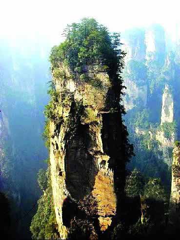 張家界國家地質(zhì)森林公園、黃石寨、金鞭溪休閑一日游