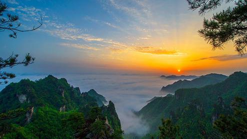 張家界森林公園（金鞭溪、袁家界、楊家界、天子山、十里畫廊）住山上2天1游（可看日出）